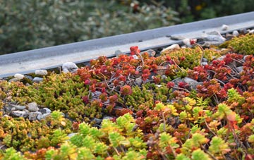 the cost of Gayton Engine green roof installation