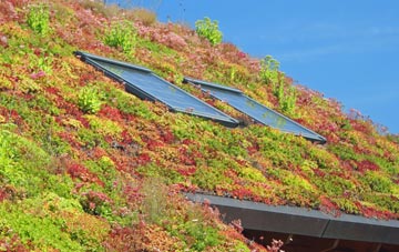 Gayton Engine living roof systems